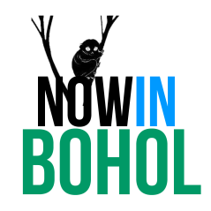 Now in Bohol Blog